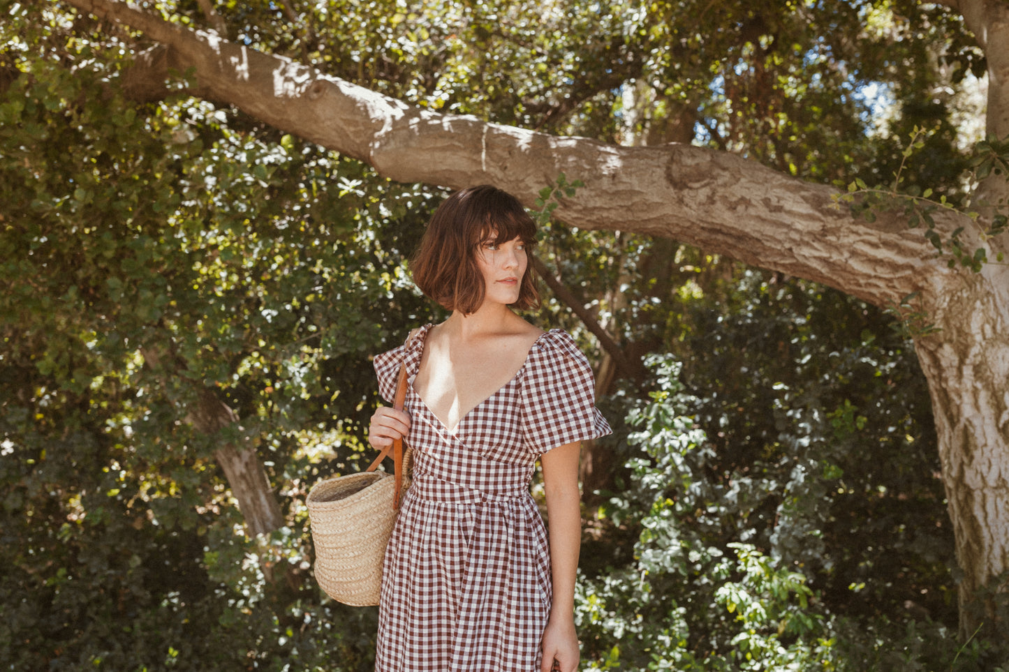 Eden Checker Dress