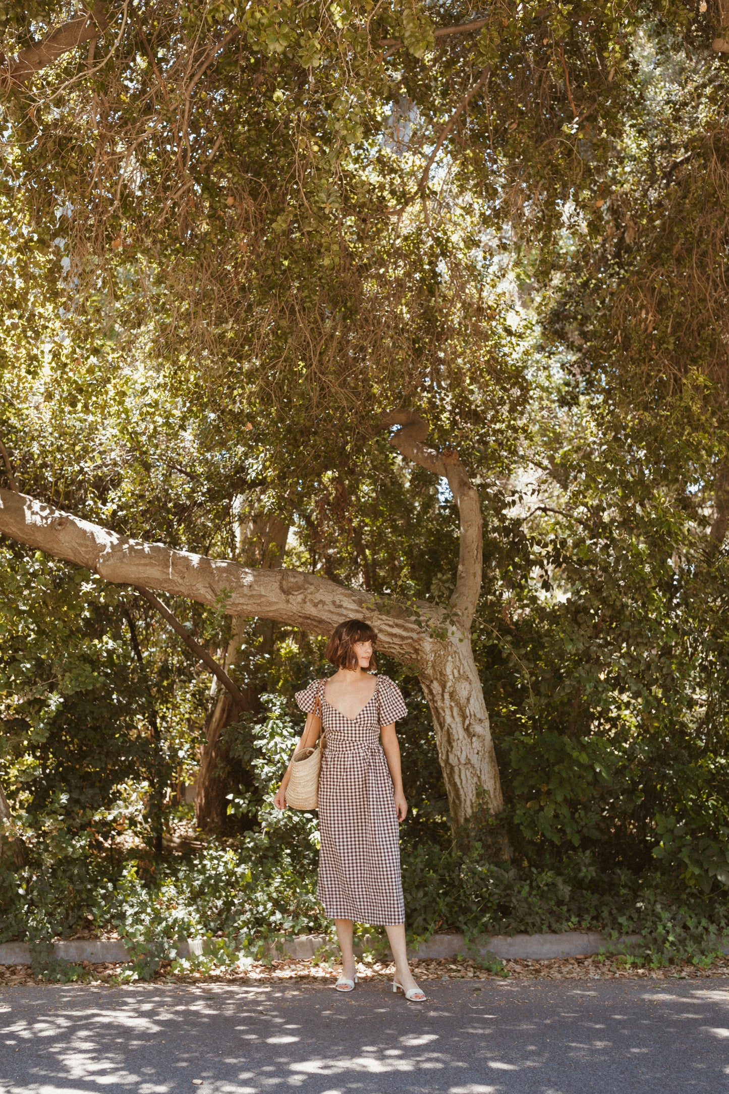 Eden Checker Dress