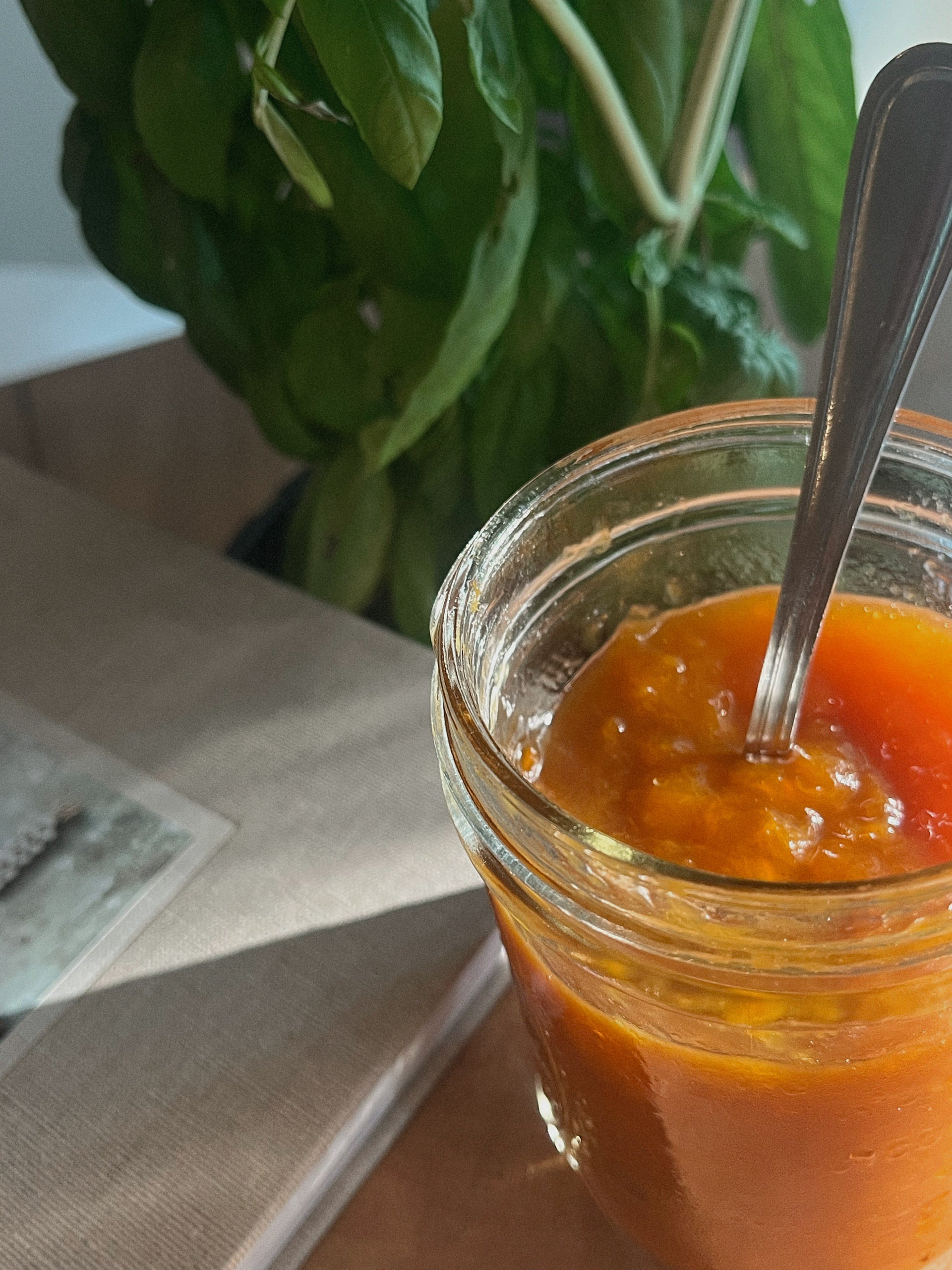 Small Batch Apricot Jam