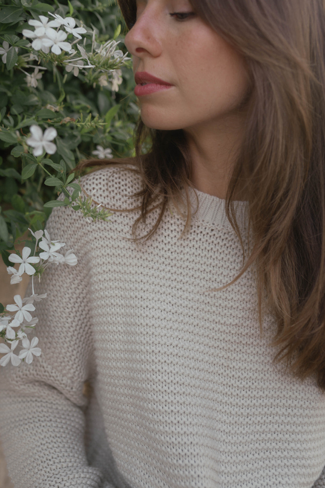 The Hayes Knit Sweater