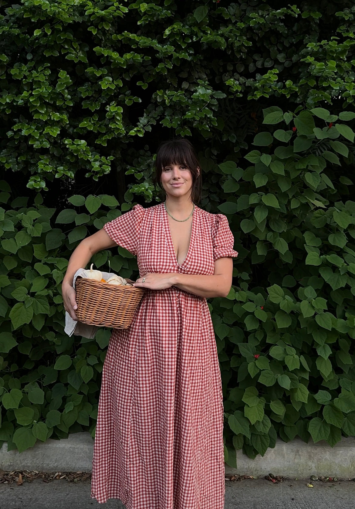 vintage gingham dress Red and cream sundress 34 Hips Maggie Gingham Dress