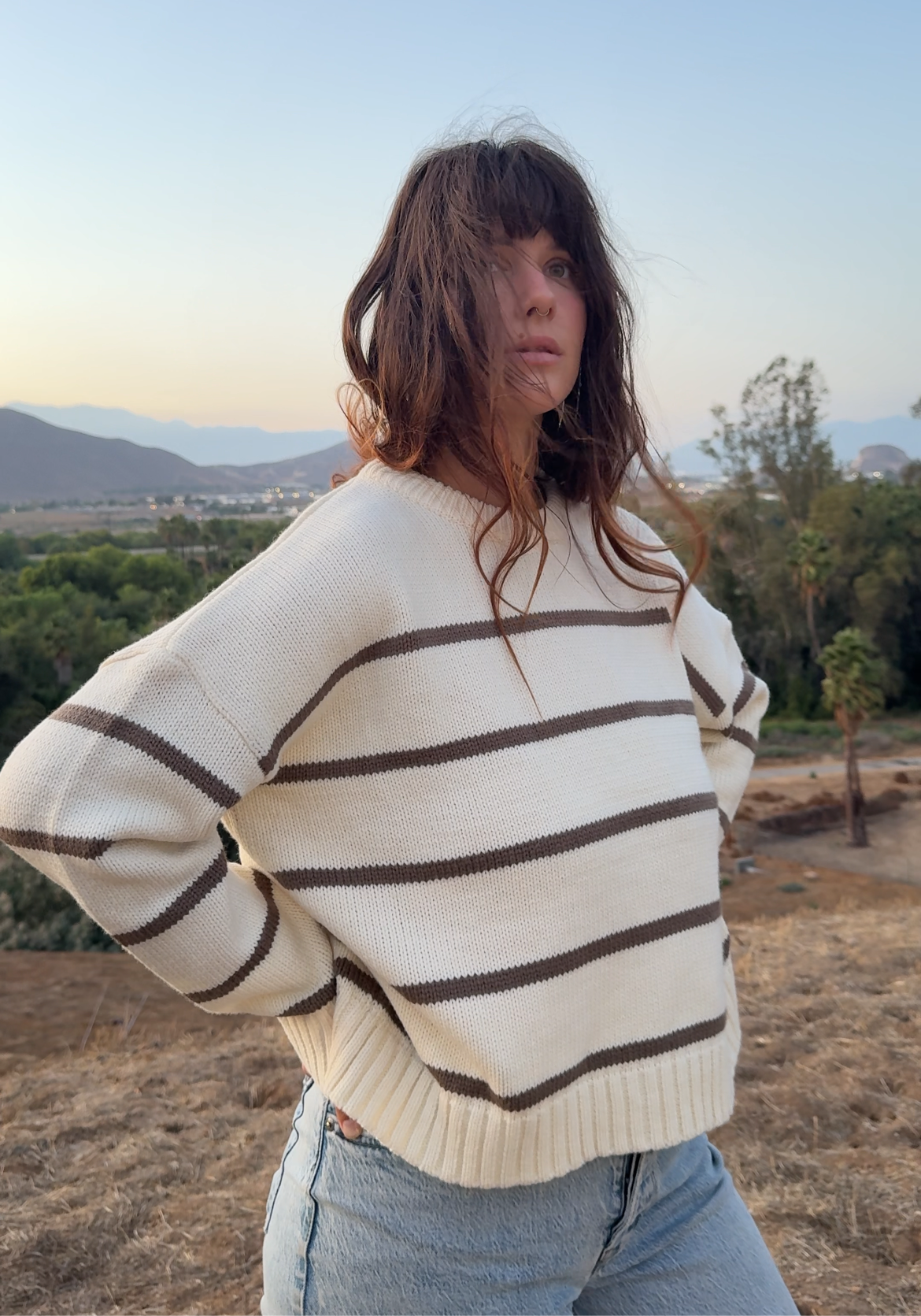 Mason Knit Sweater