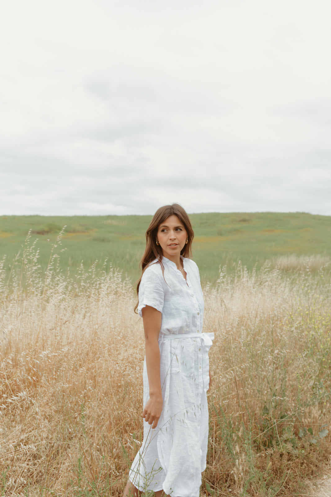 Rosemary Linen Dress