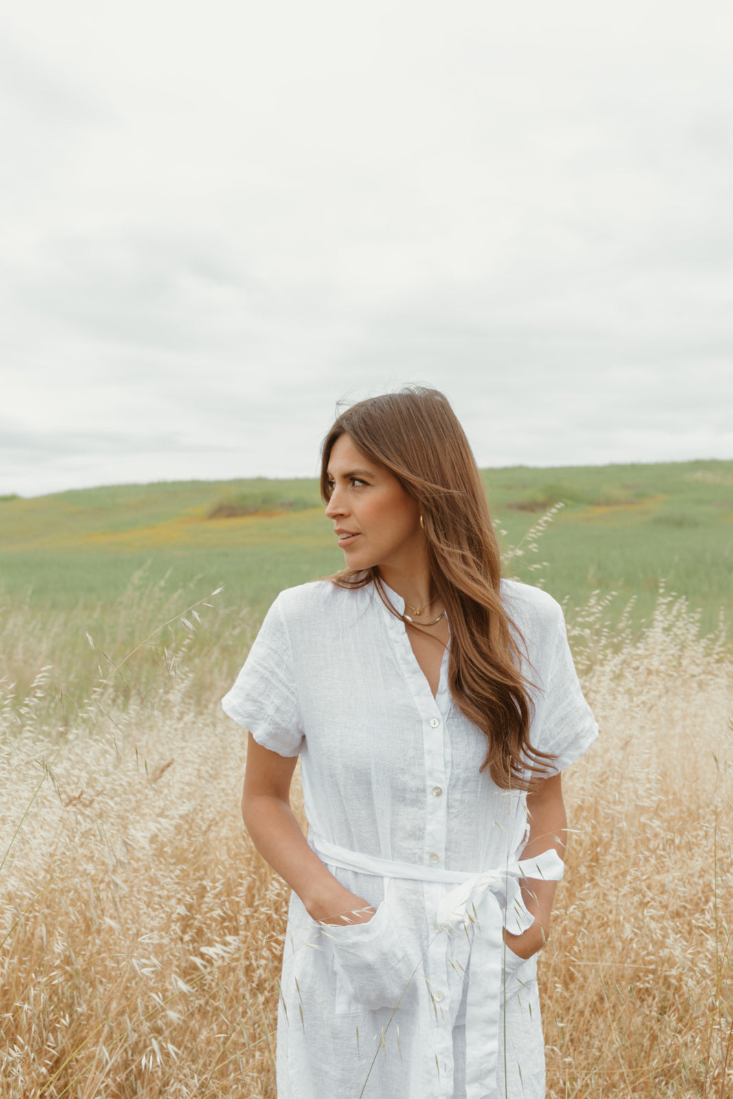 Rosemary Linen Dress