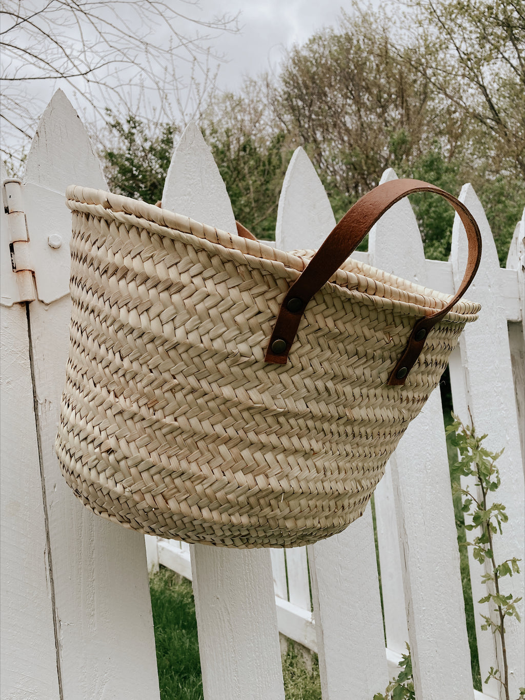 Mini Valencia Basket